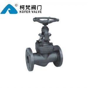 J41Y�͸ֽ�ֹ��